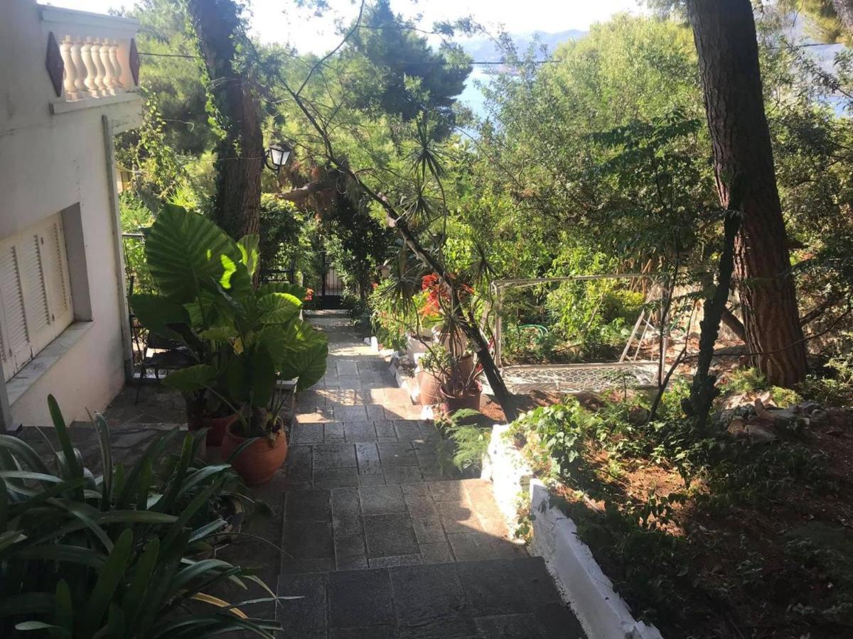Villa Loula Apartment II Poros Town エクステリア 写真